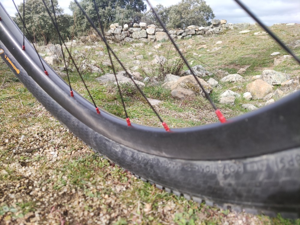 UD PAINTLESS RIM
