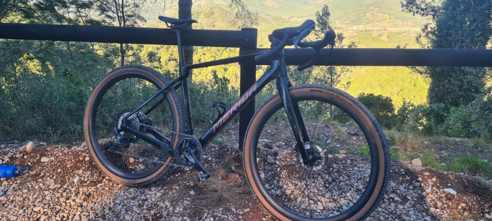 WITH SAPIM CX RAY SPOKES